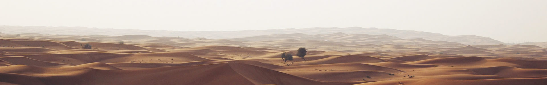 ʳƼ޹˾